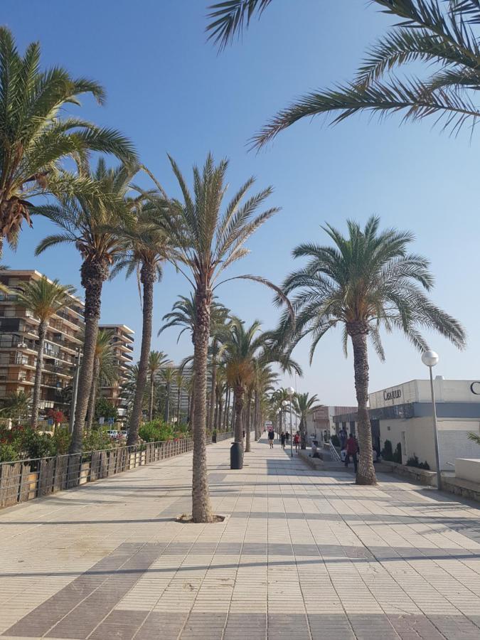 Exclusif Appartement En 1Er Ligne, Vue Imprenable, Piscine, Parking Prive A Playa Mucha Vista, Alicante El Campello Bagian luar foto